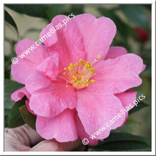 30/04/2025 - Yipinhong