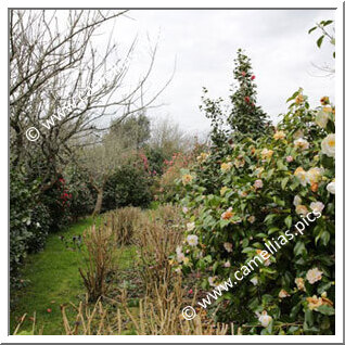 Jardin Privé - Dans le Finistère