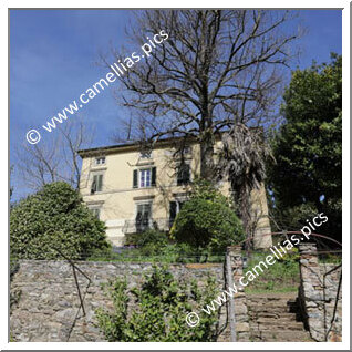 Villa Orsi (Pieve di Compito)